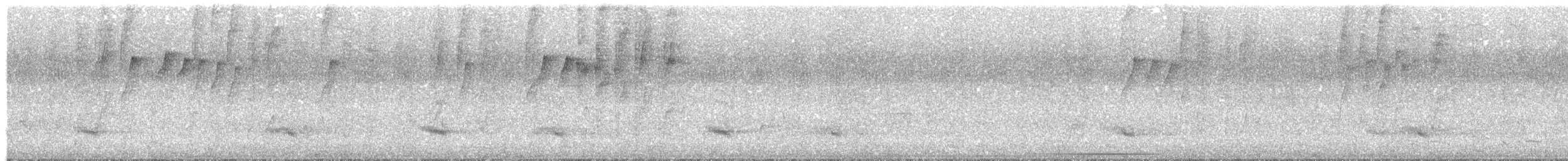 Краснохвостый колибри-отшельник - ML615253673