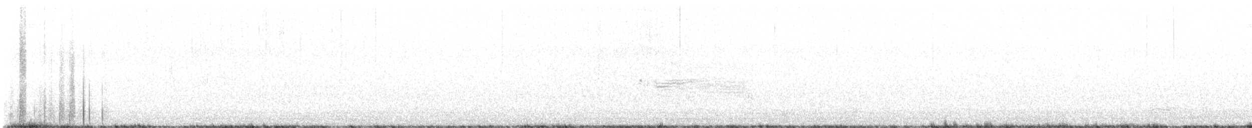 Багновець приморський (підвид mirabilis) - ML615253837
