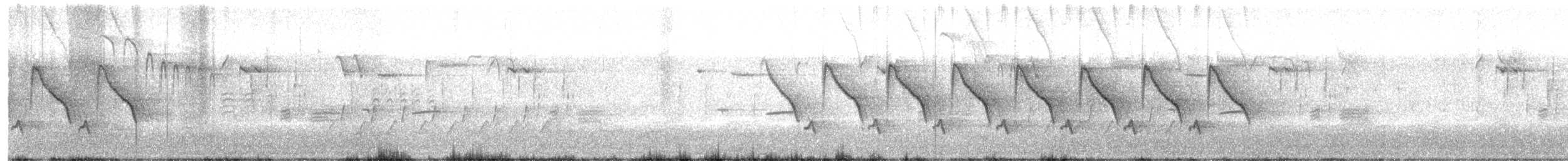 Carolina Wren - ML615254032