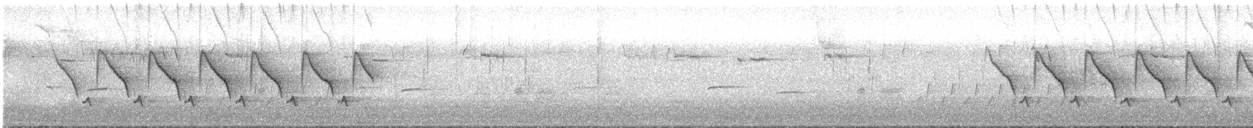 Carolina Wren - ML615254047