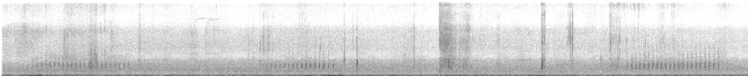 woodpecker sp. - ML615254076