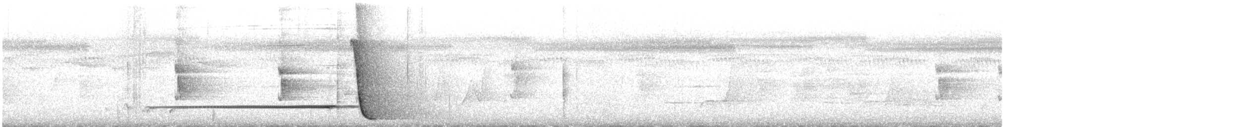 Psophode à tête noire - ML615263878