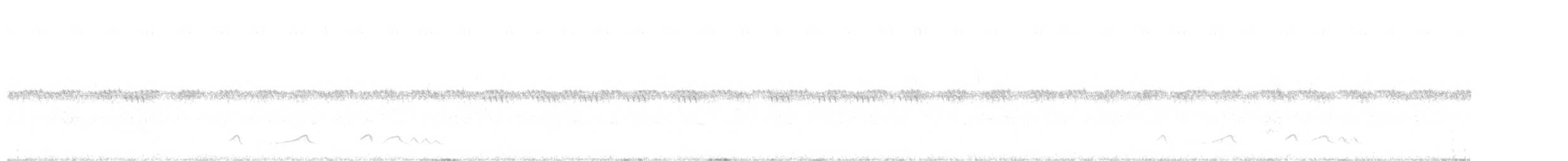 Pfeifnachtschwalbe - ML615270528