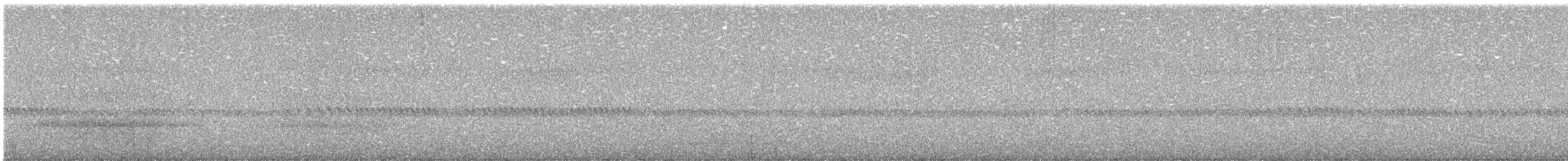 White-throated Nightjar - ML615273677