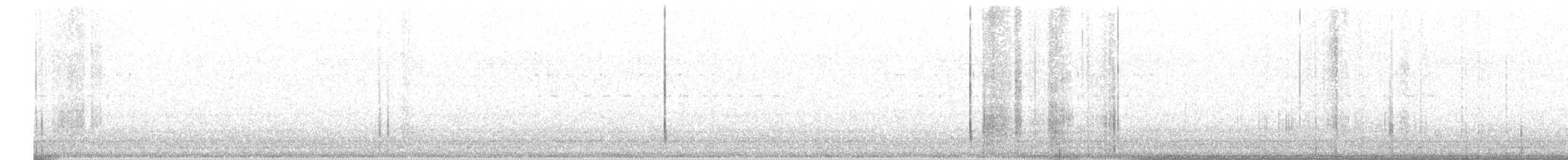 Пелікан рогодзьобий - ML615273759