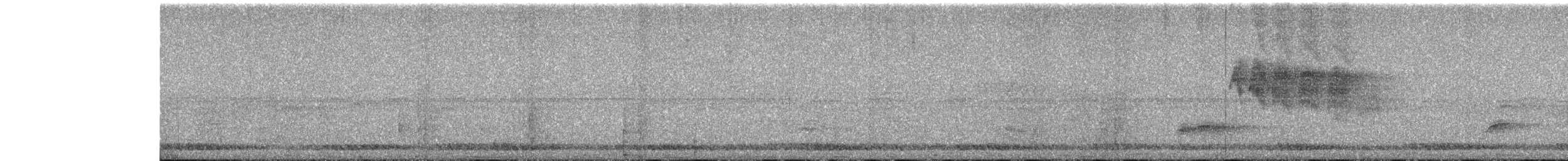 Swinhoe's Pheasant - ML615278430