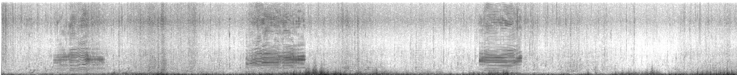 אלבטרוס לבן-כיפה (steadi) - ML615279637