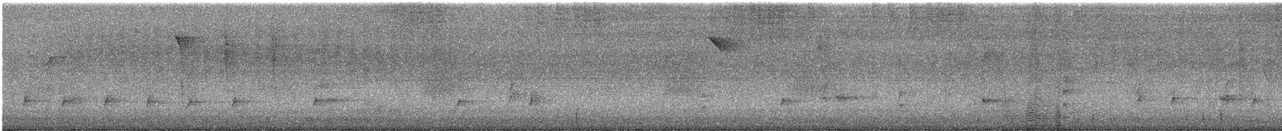 Microtyran oreillard - ML615280556