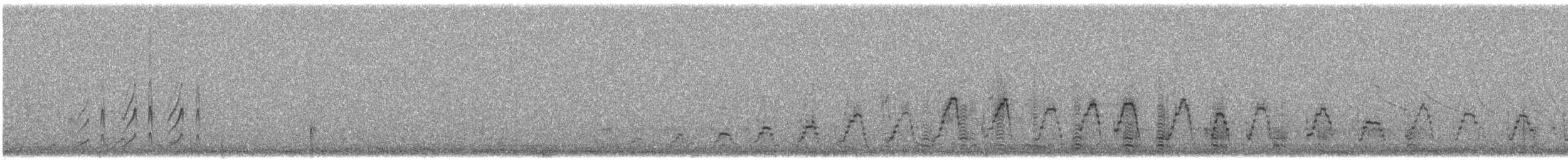 husice magellanská - ML615282520