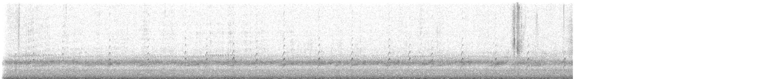 svartkronestylteløper (mexicanus) - ML615282708
