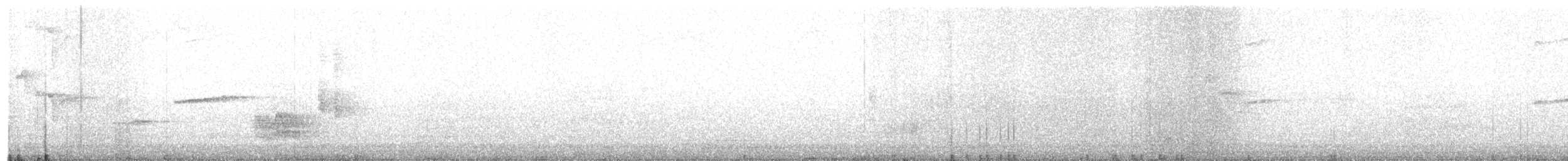 blåtrost (philippensis) - ML615282752
