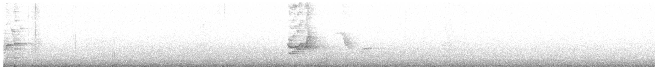 blåtrost (philippensis) - ML615282754