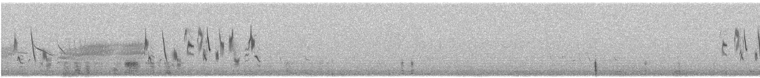 Патагонский конёк - ML615282857