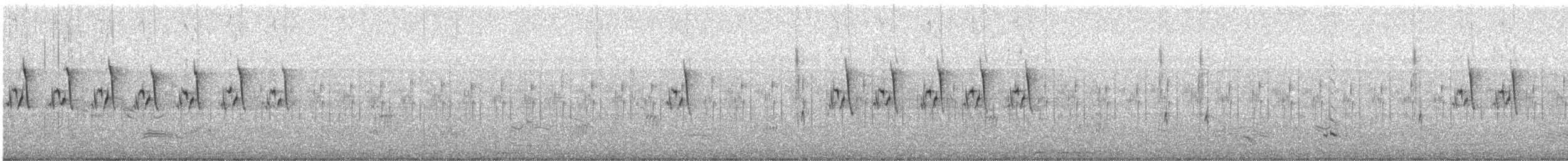 Ashy Prinia - ML615283054