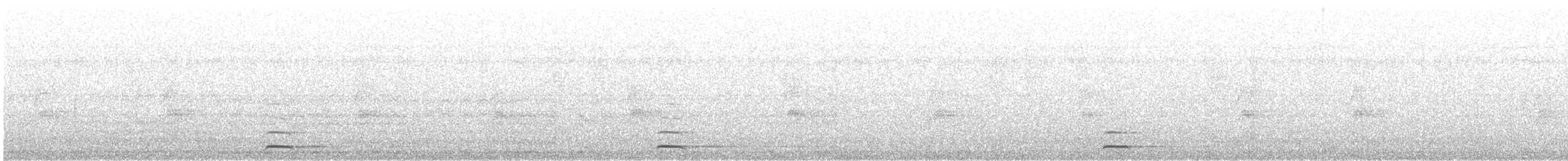 Chevêchette naine (groupe californicum) - ML615283217