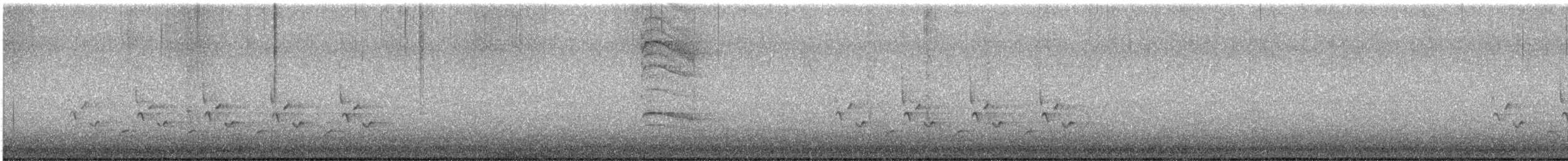 Поплітник каролінський - ML615284544