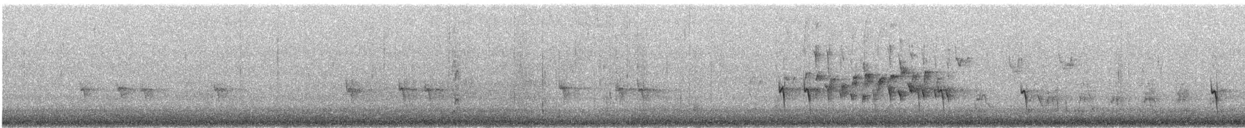 Bec-croisé des sapins (type 2) - ML615285066