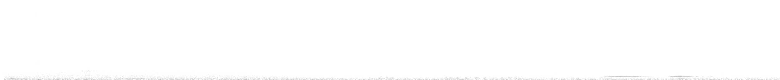 Сова-голконіг гігантська - ML615286711
