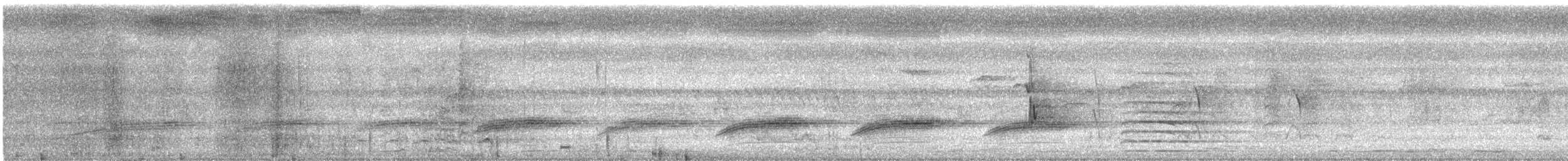 Échenilleur cigale (groupe tenuirostre) - ML615287327