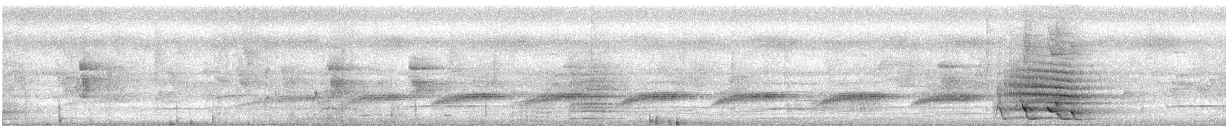 Échenilleur cigale (groupe tenuirostre) - ML615287328