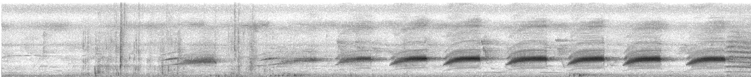 Sahul Cicadabird - ML615287329