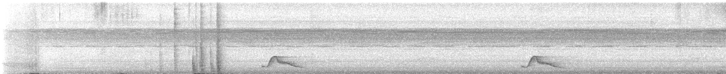 Pauraquenachtschwalbe - ML615288601