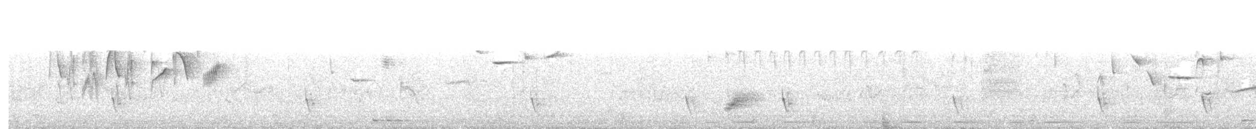 Straw-tailed Whydah - ML615289373