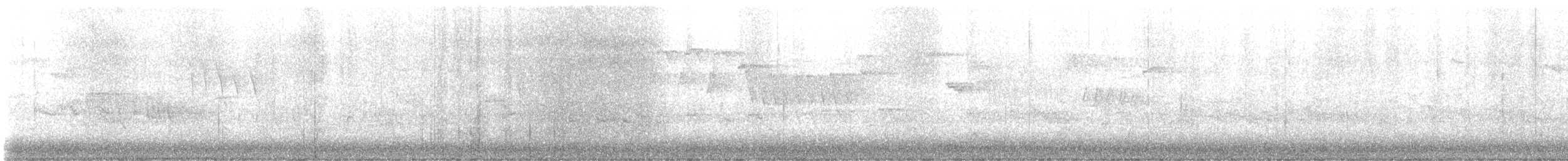 Цоохор тоншуул - ML615289438