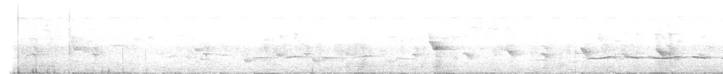 Белобрюхая кукушка - ML615291897