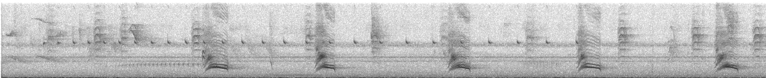 drozd bělohrdlý - ML615292609