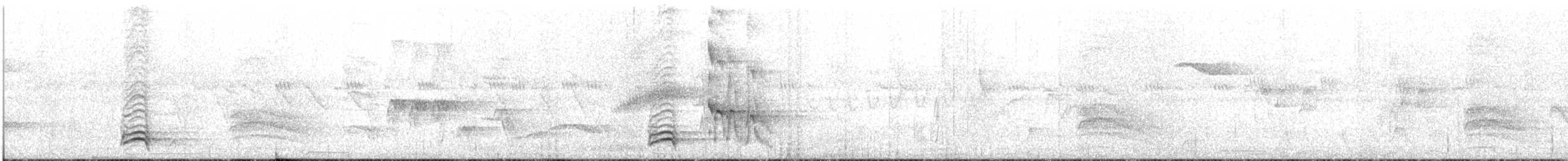 White-necked Thrush - ML615292833