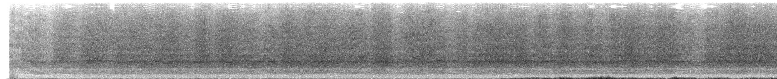 Длинноклювая которра - ML615293111