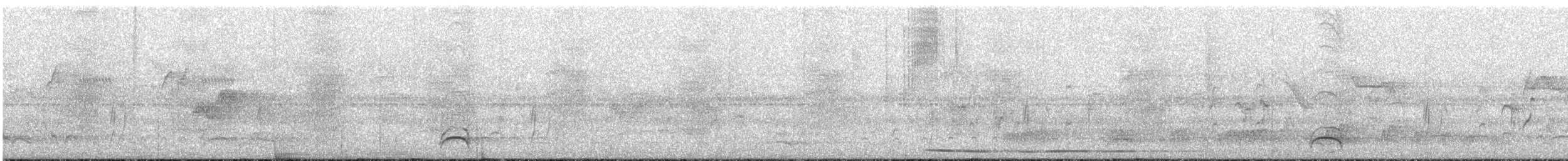 White-necked Thrush - ML615293203