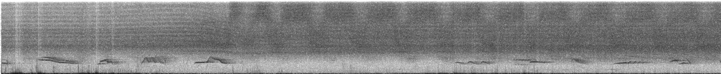 White-necked Thrush - ML615293249