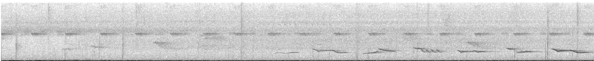 White-necked Thrush - ML615293497