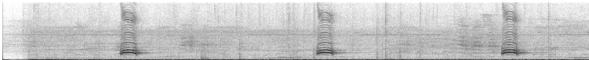 White-necked Thrush - ML615293843