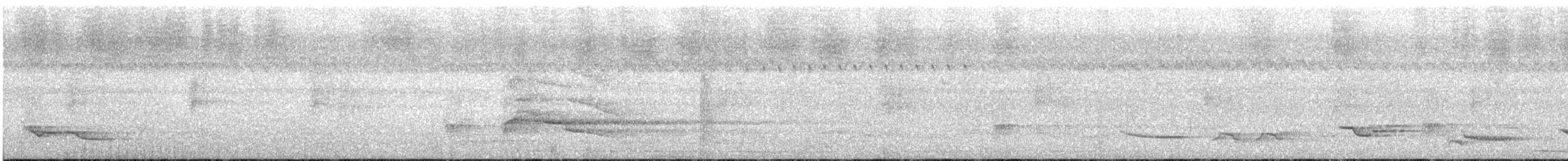 drozd bělohrdlý - ML615293930