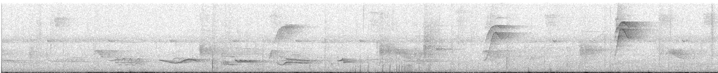 White-necked Thrush - ML615294054