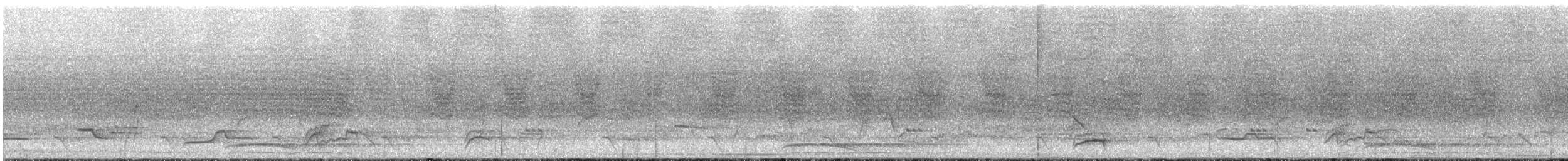 drozd bělohrdlý - ML615294162