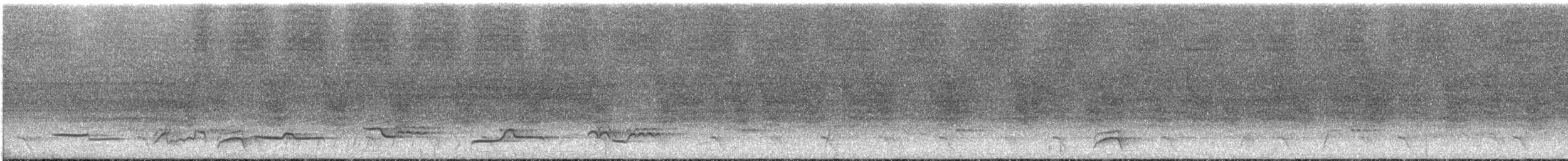 White-necked Thrush - ML615294167