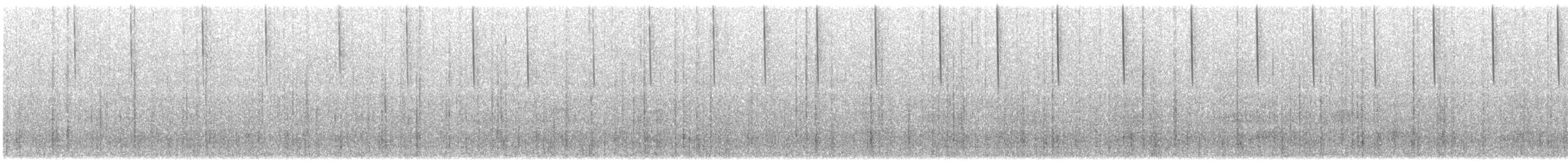 White-necked Jacobin - ML615298461