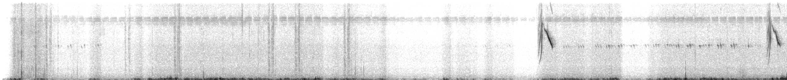 Берингийская жёлтая трясогузка - ML615300000