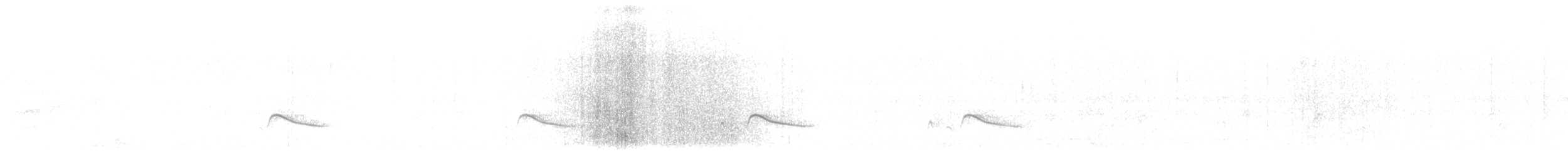 Рыжебрюхий фиби - ML615300293