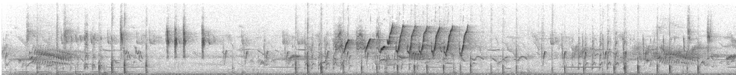 Namaspecht - ML615306969