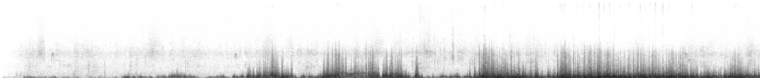 Schlankschnabel-Regenpfeifer - ML615307499