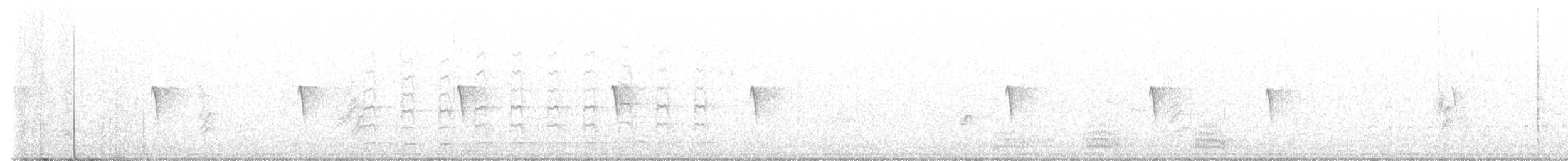 Weißbauch-Phoebetyrann - ML615308248