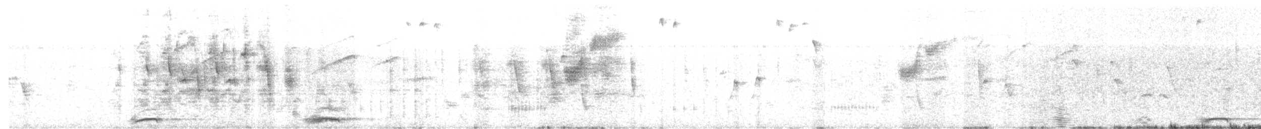 Schalow's Turaco - ML615311606