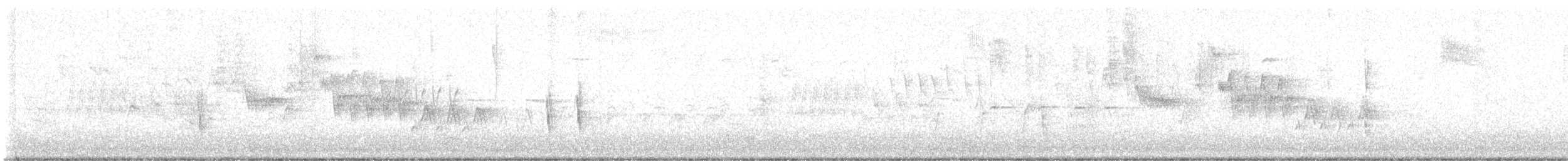Дрізд-короткодзьоб плямистоволий - ML615318796