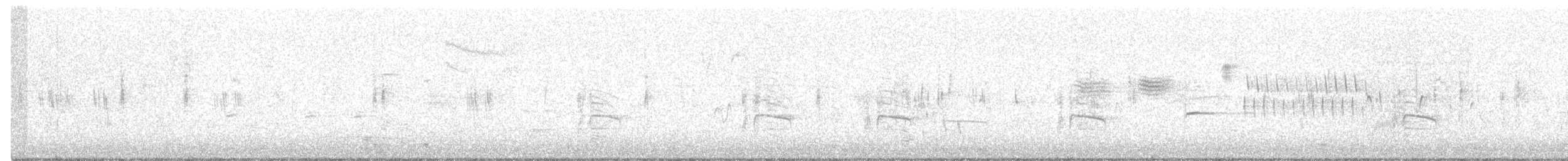 斑文鳥 - ML615319792
