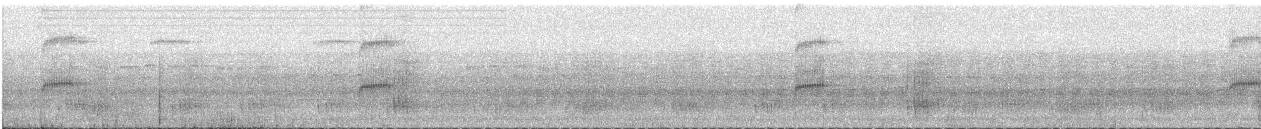 Короткохвостая аруна - ML615325937